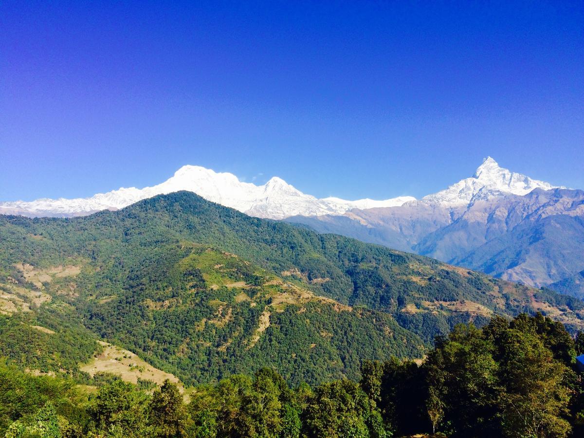 Aroma Tourist Hostel Pokhara Kültér fotó