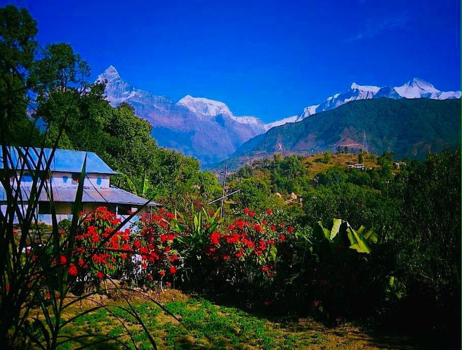 Aroma Tourist Hostel Pokhara Kültér fotó