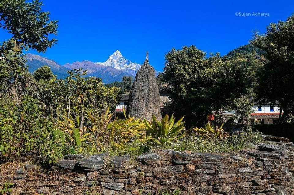 Aroma Tourist Hostel Pokhara Kültér fotó